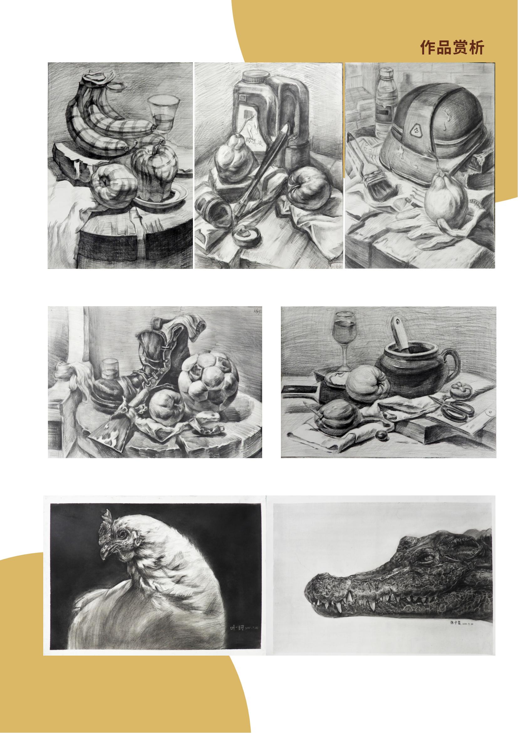 素描基础学员作品赏析：静物与动物素描